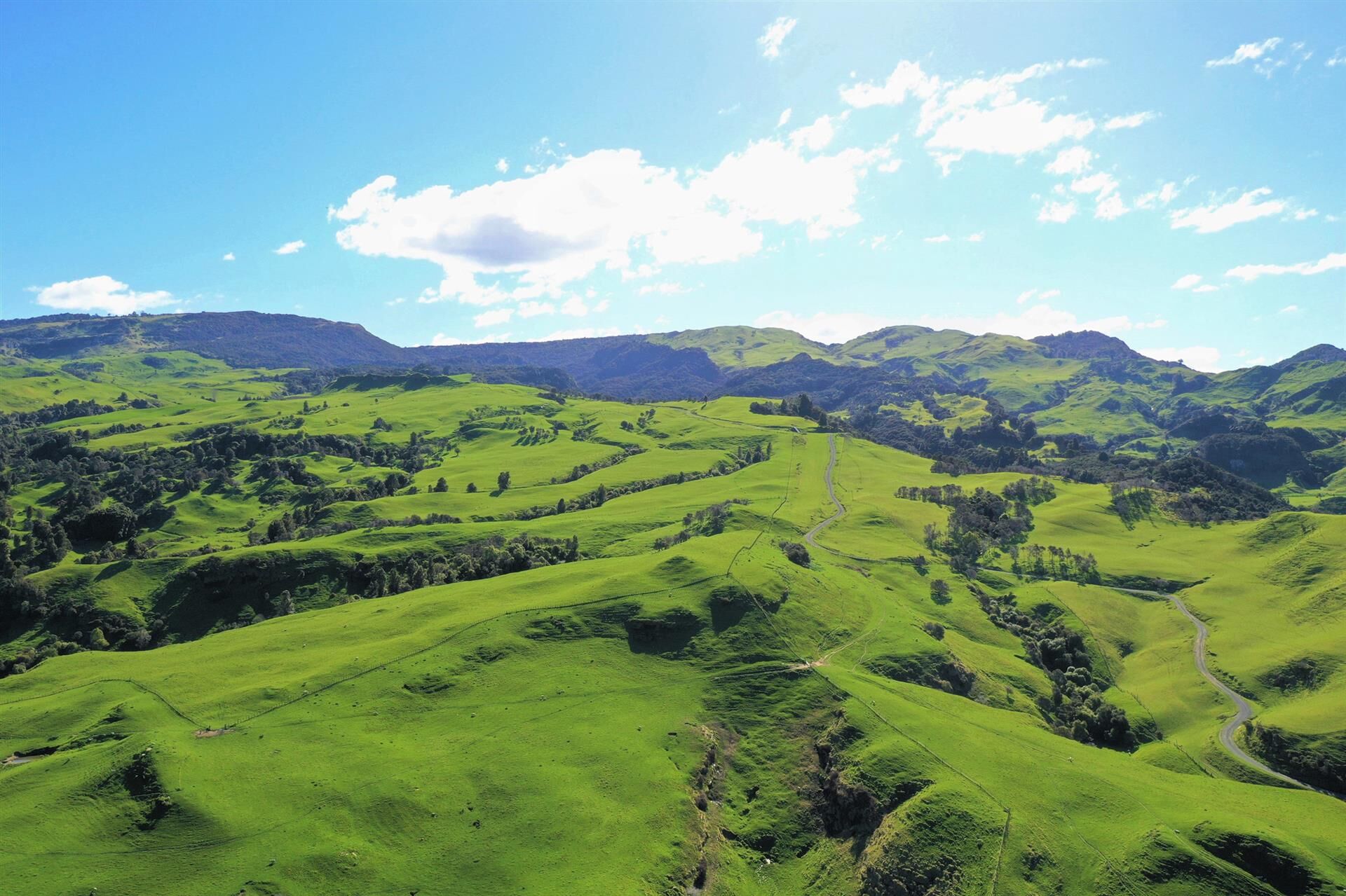 Pioneering deer farm for sale with tourism and hunting options